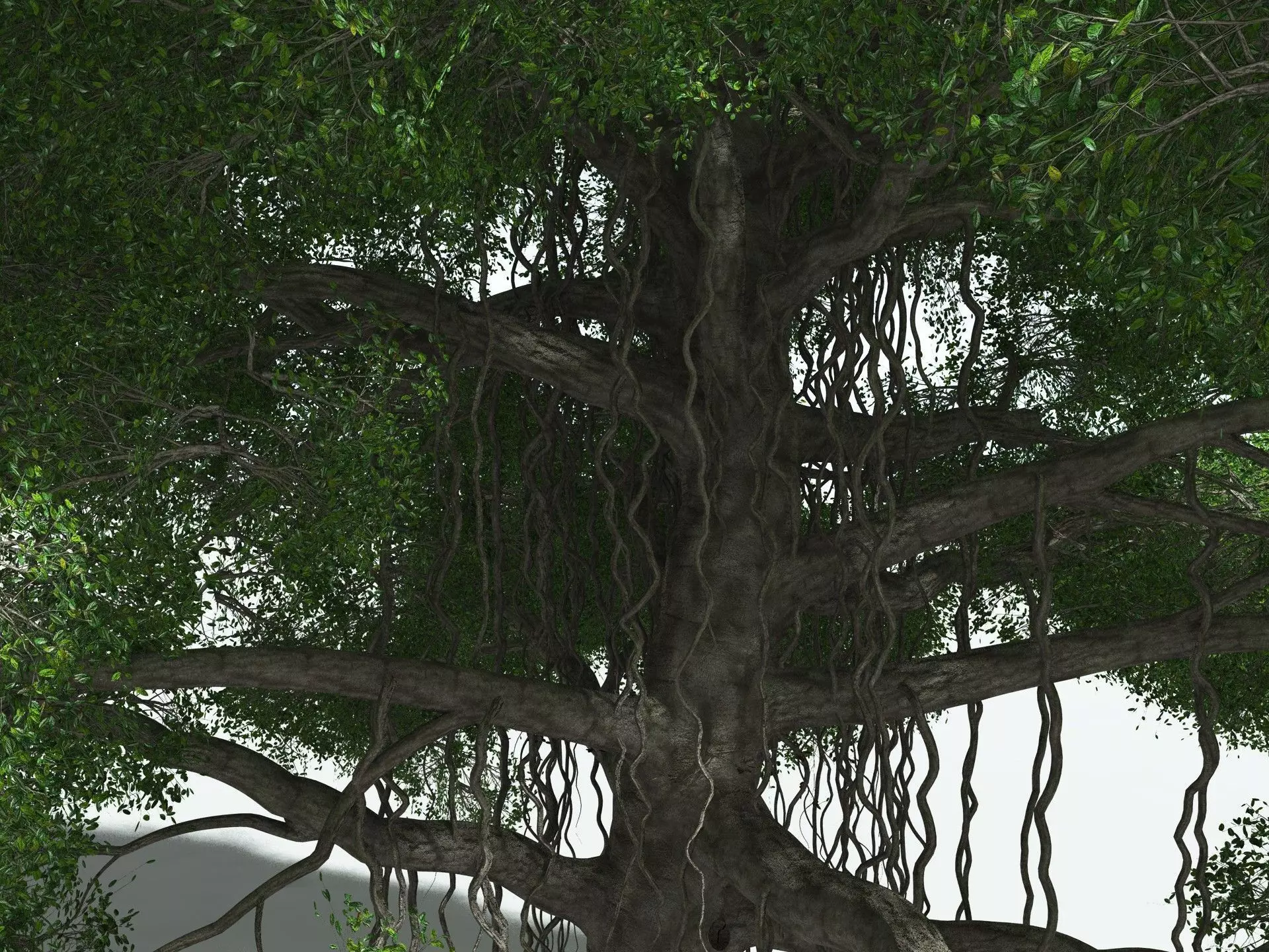 EVERYPlant Indian Rubber Tree 3D model_11