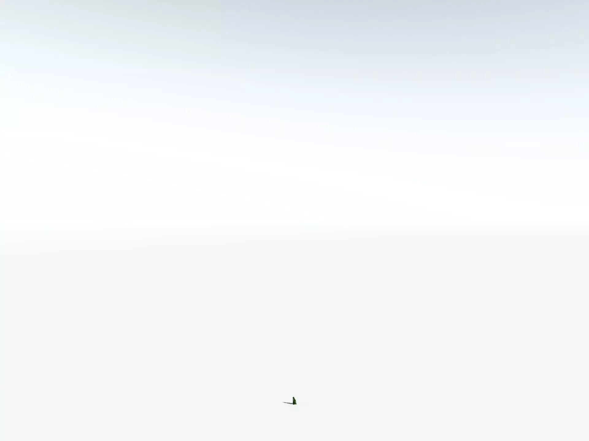 EVERYPlant Indian Rubber Tree 3D model_30