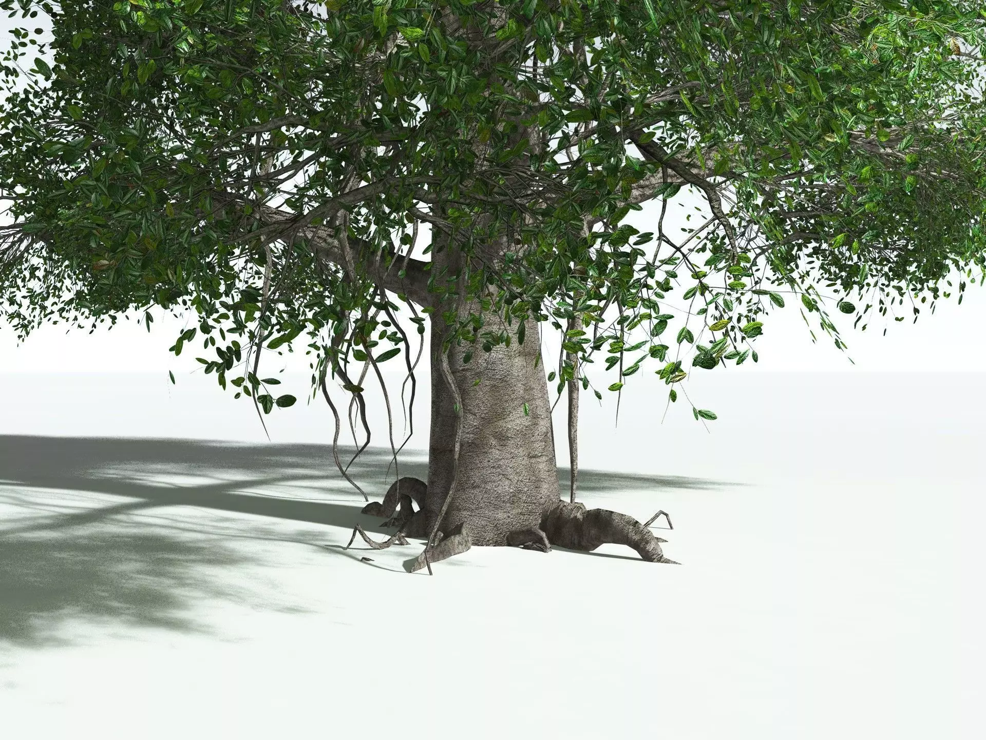 EVERYPlant Indian Rubber Tree 3D model_25