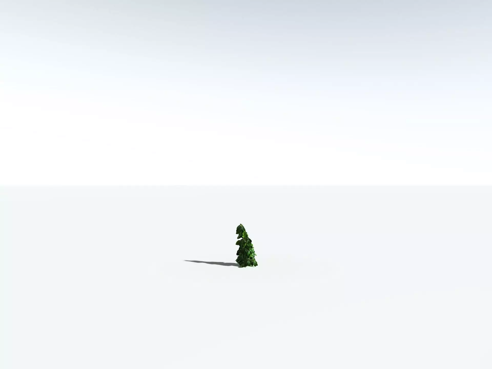 EVERYPlant Indian Rubber Tree 3D model_31