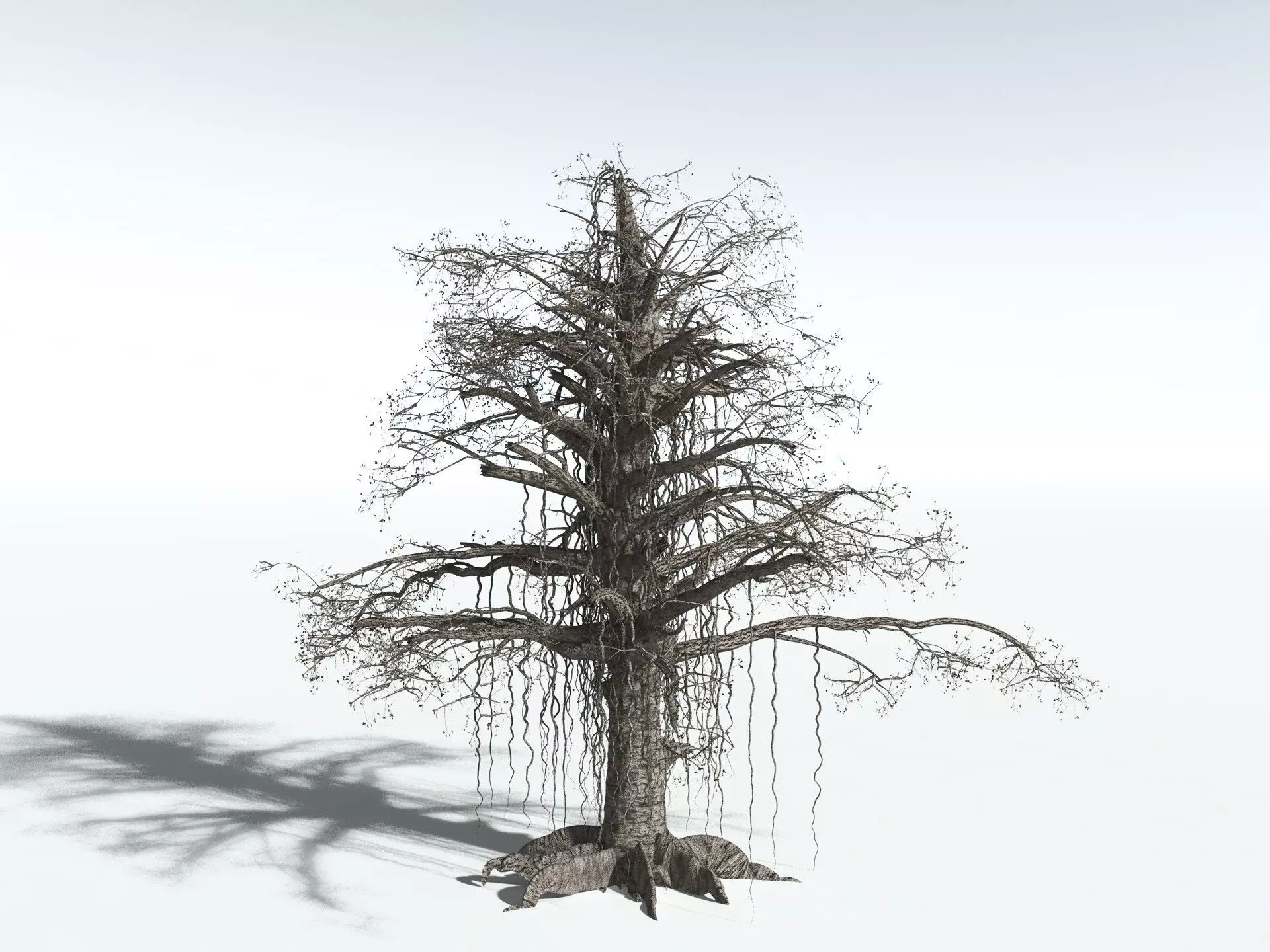 EVERYPlant Indian Rubber Tree 3D model_18