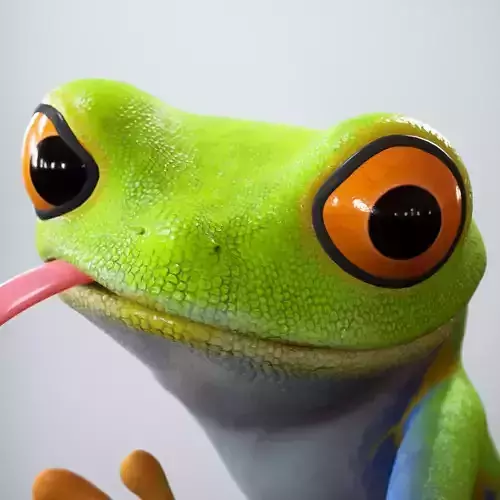 Red eyed tree Frog - Blender Character 