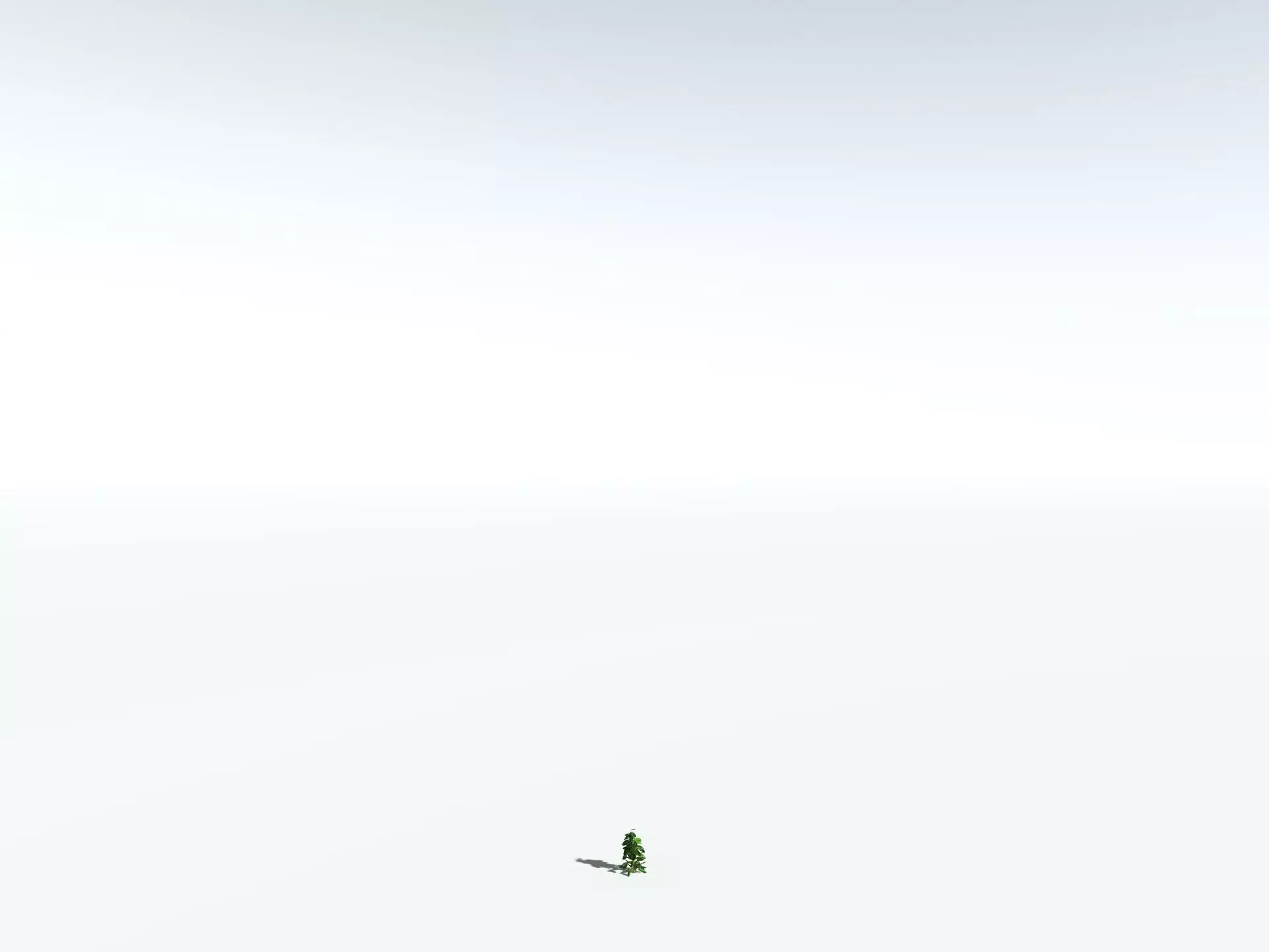 EVERYPlant Indian Rubber Tree LowPoly Low-poly 3D model_28