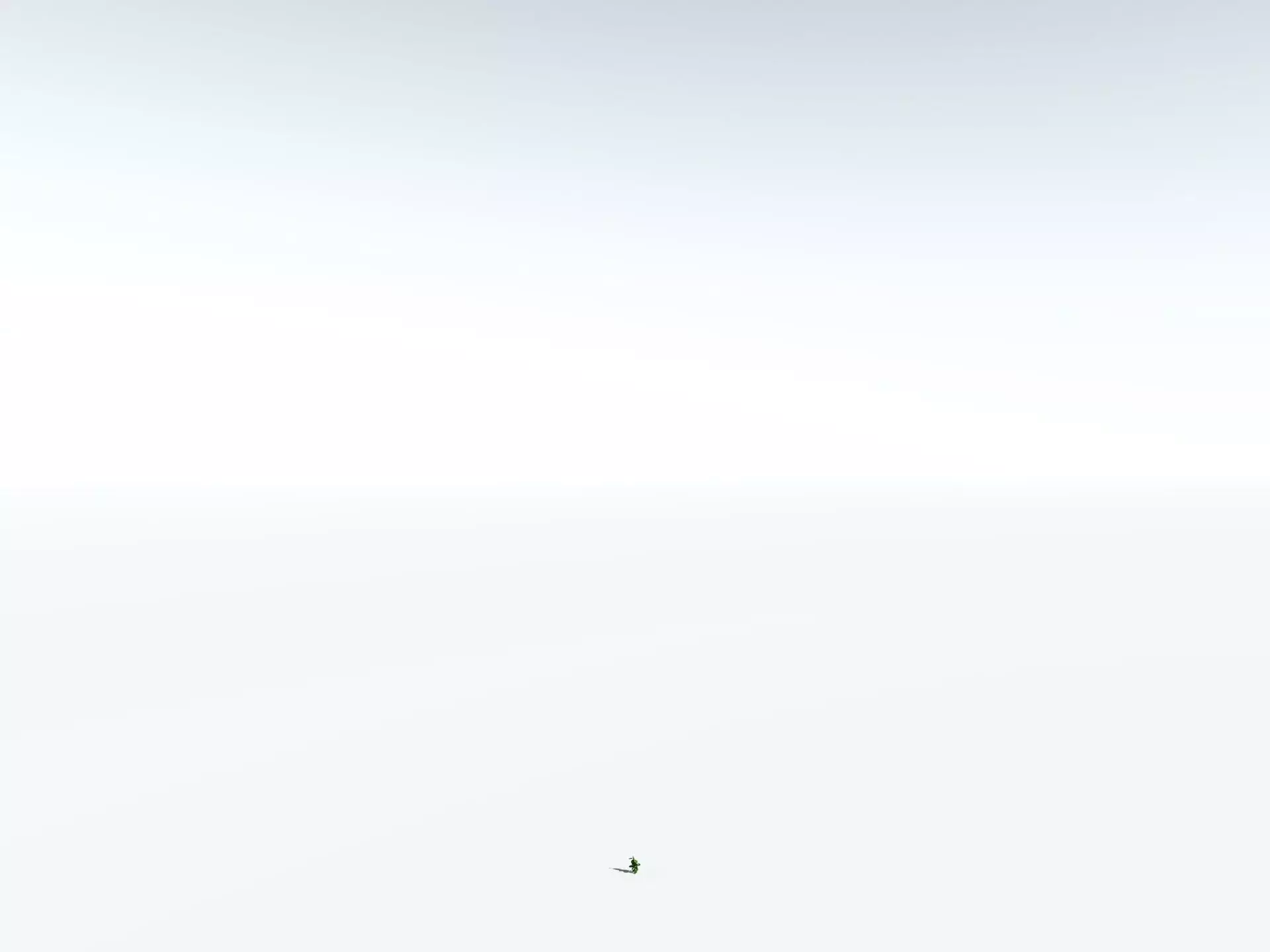 EVERYPlant Indian Rubber Tree LowPoly Low-poly 3D model_30