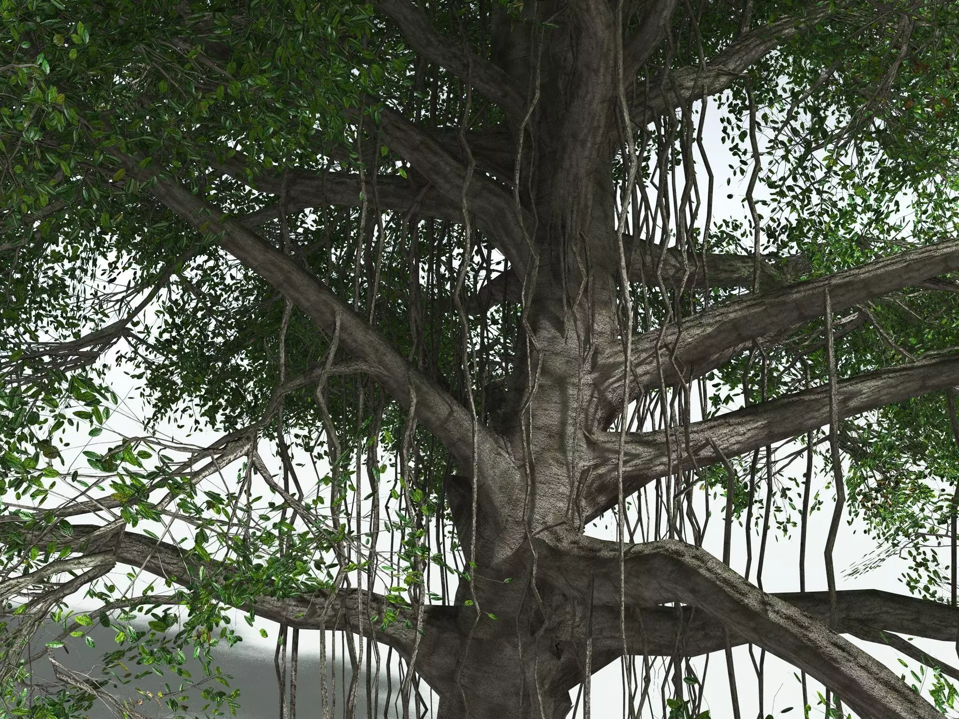 EVERYPlant Indian Rubber Tree LowPoly Low-poly 3D model_21