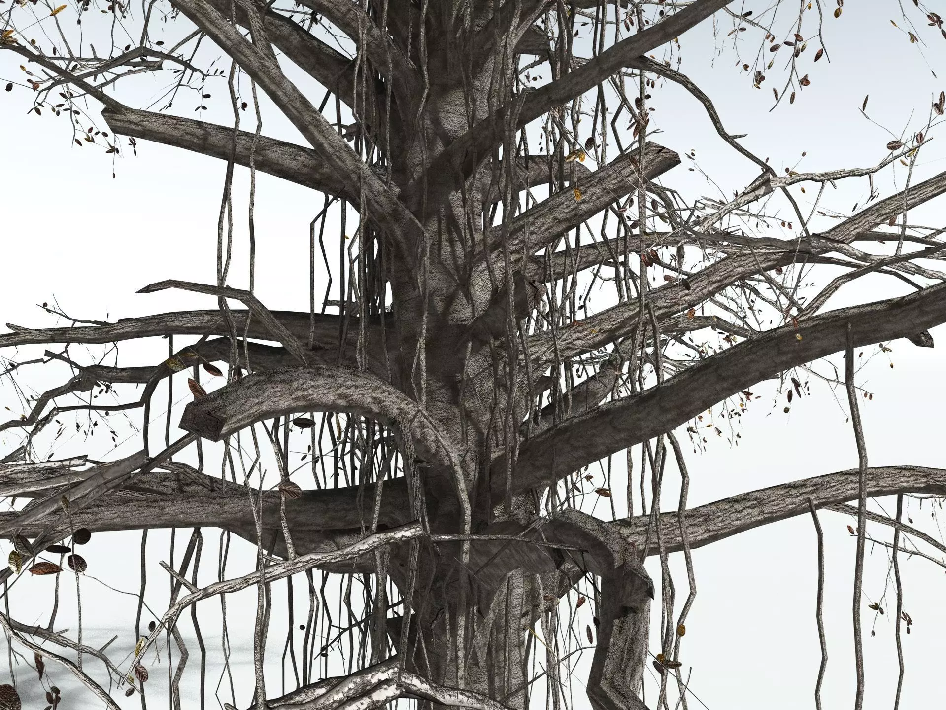 EVERYPlant Indian Rubber Tree LowPoly Low-poly 3D model_19