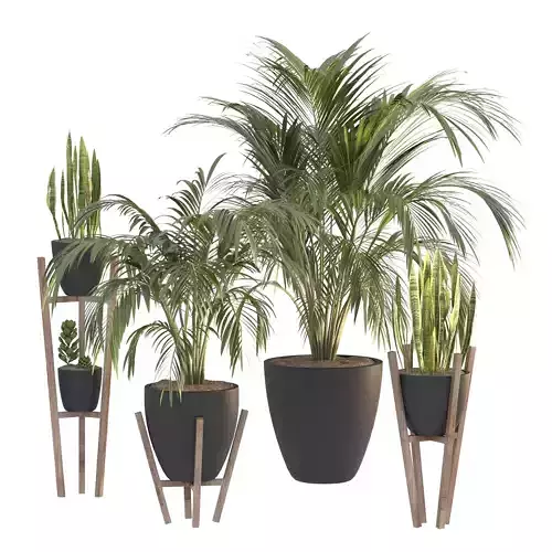 Black Metal Plant Set