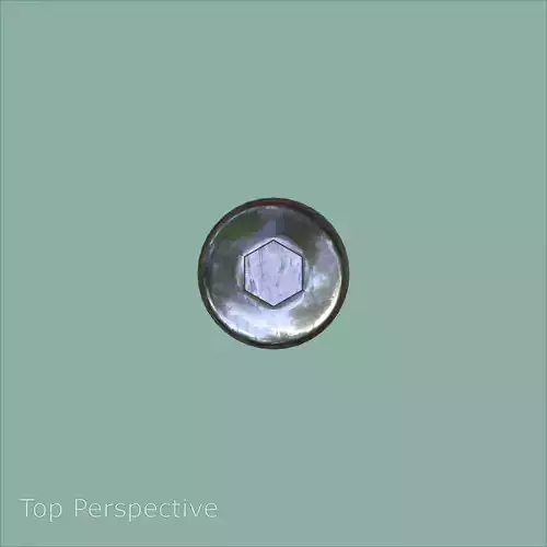 Steel Stained M8 Bolt Allen Pan Head 3D Model 3D model 7