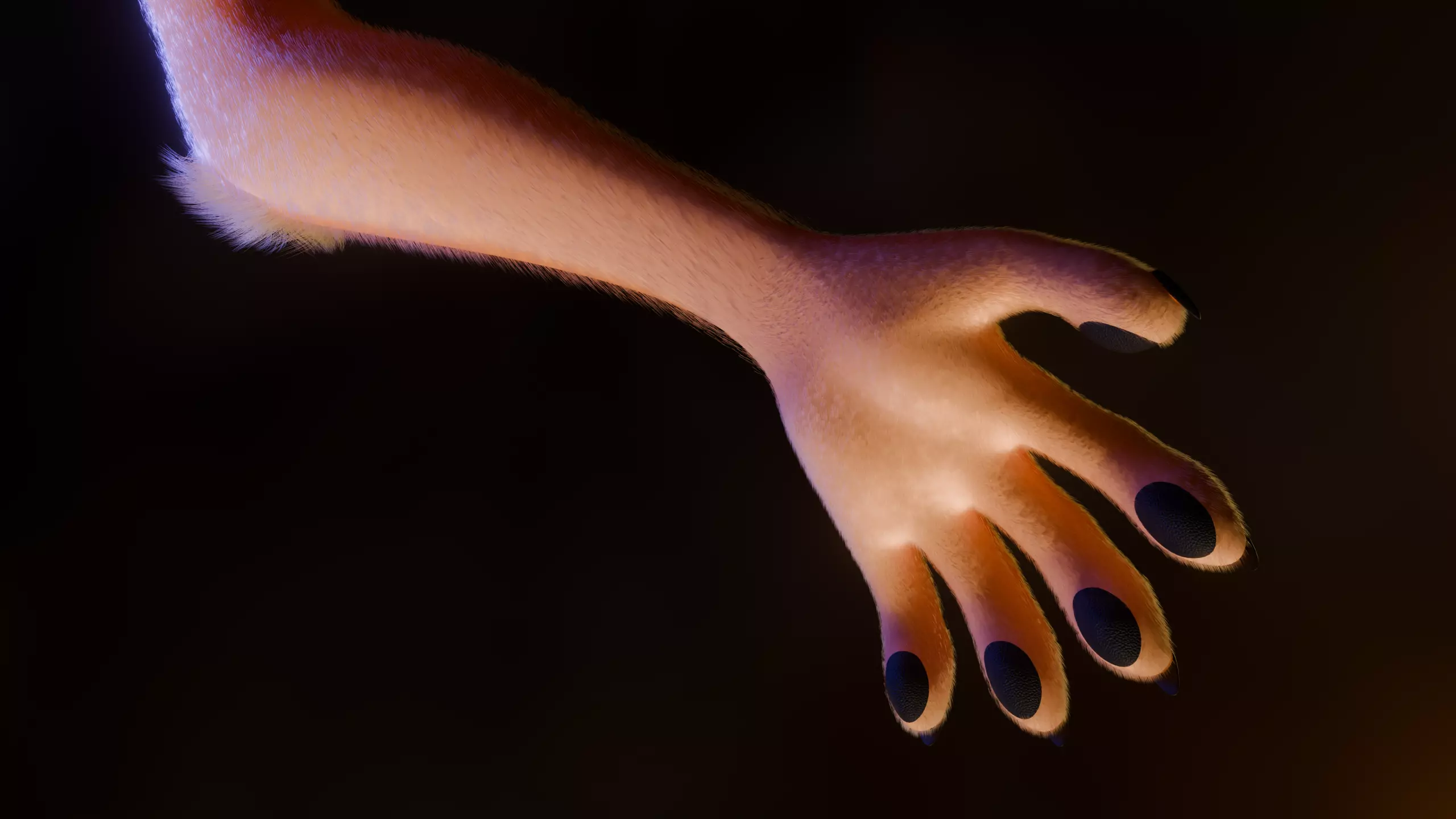 Ash Anthro Fox Low-poly 3D model_12