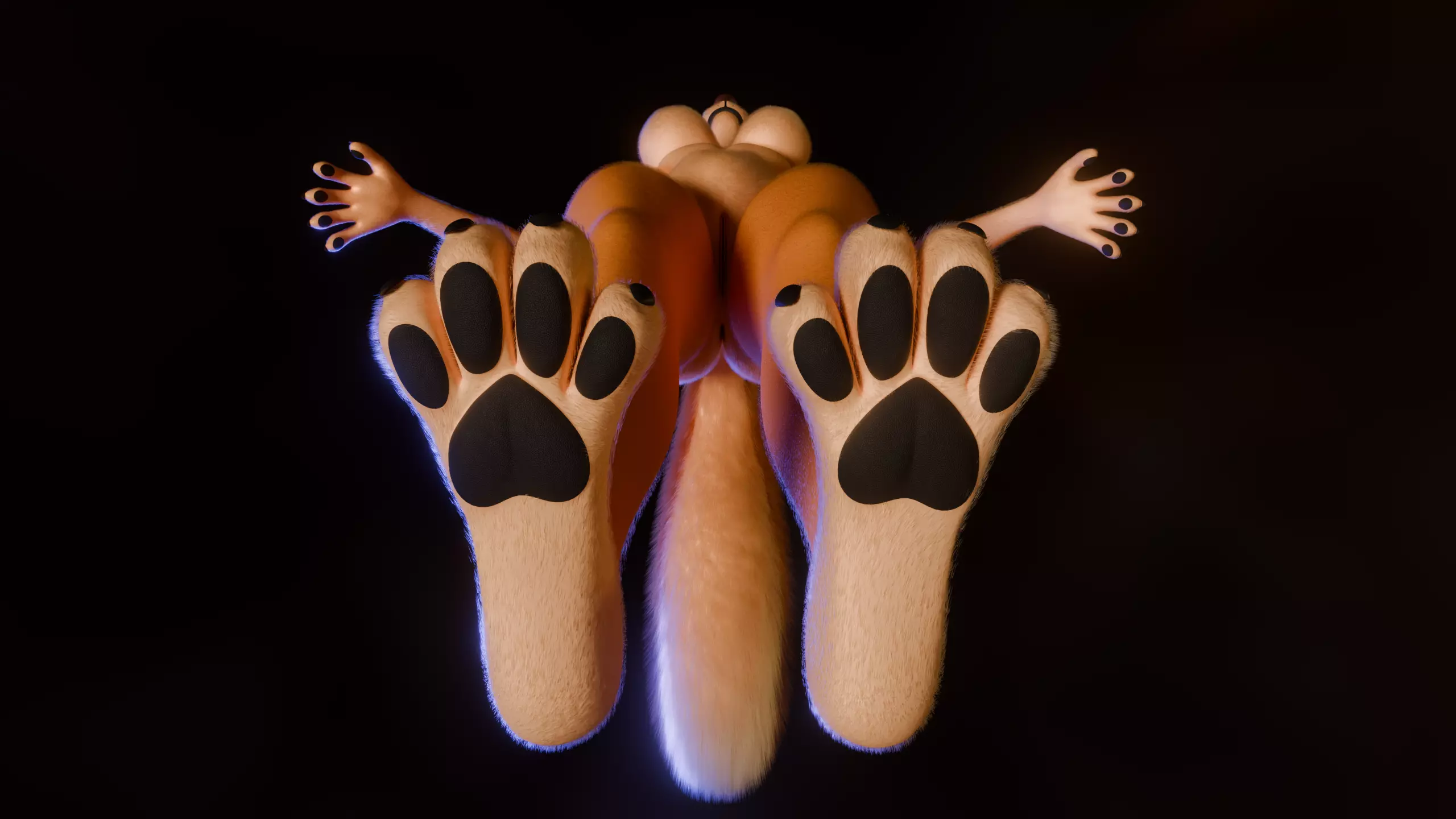 Ash Anthro Fox Low-poly 3D model_14