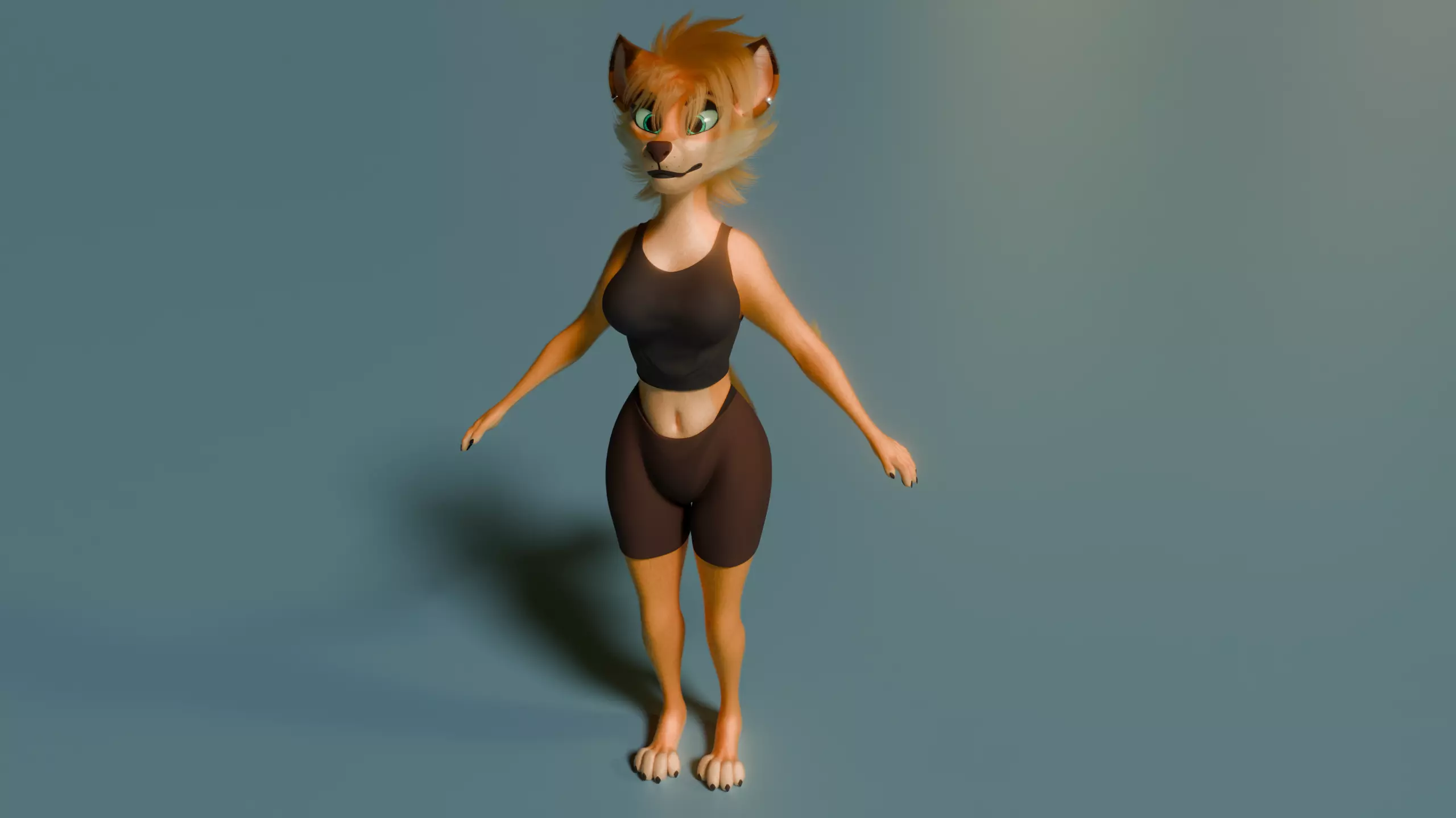Ash Anthro Fox Low-poly 3D model_52