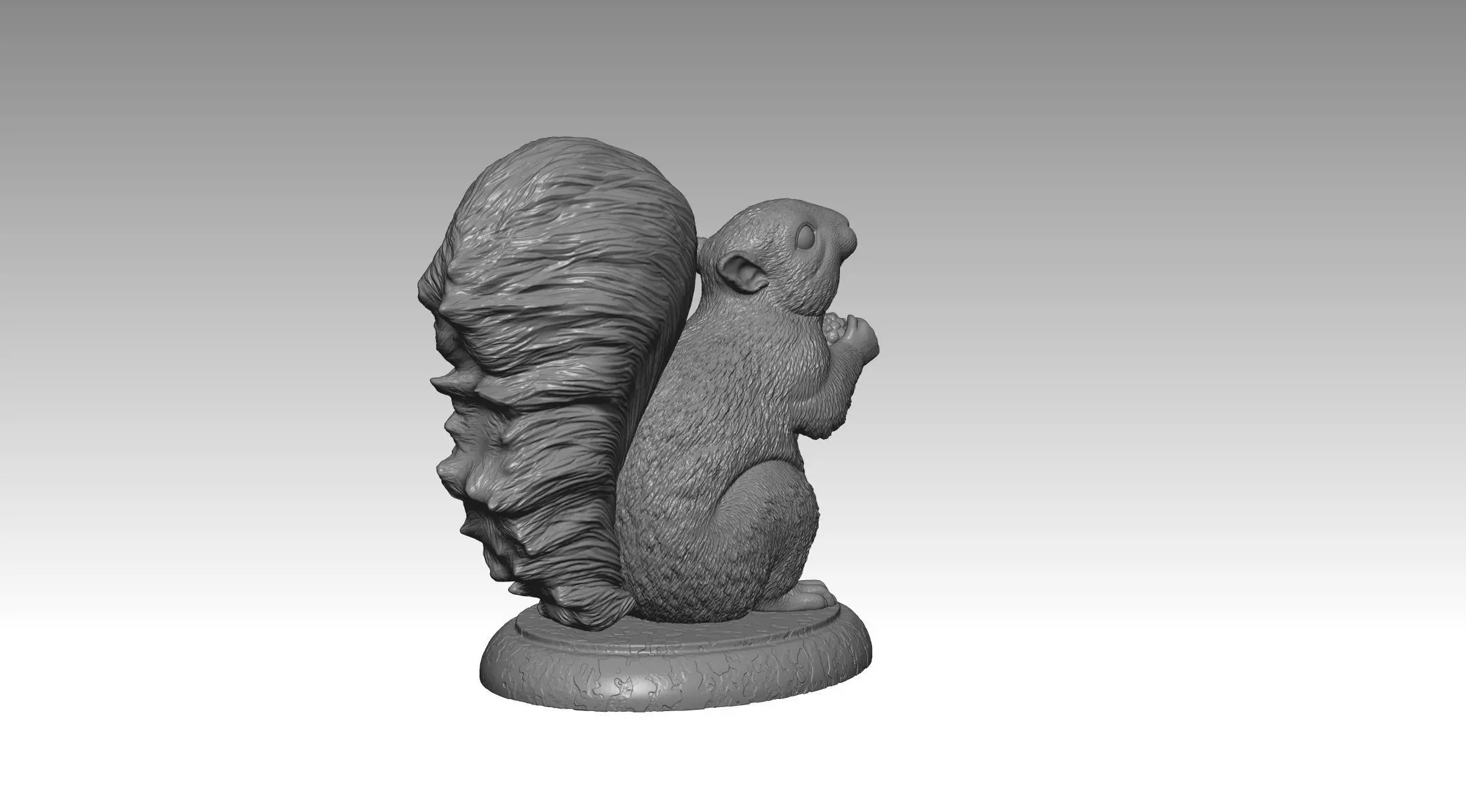 squirrel model 2 3D print model_7