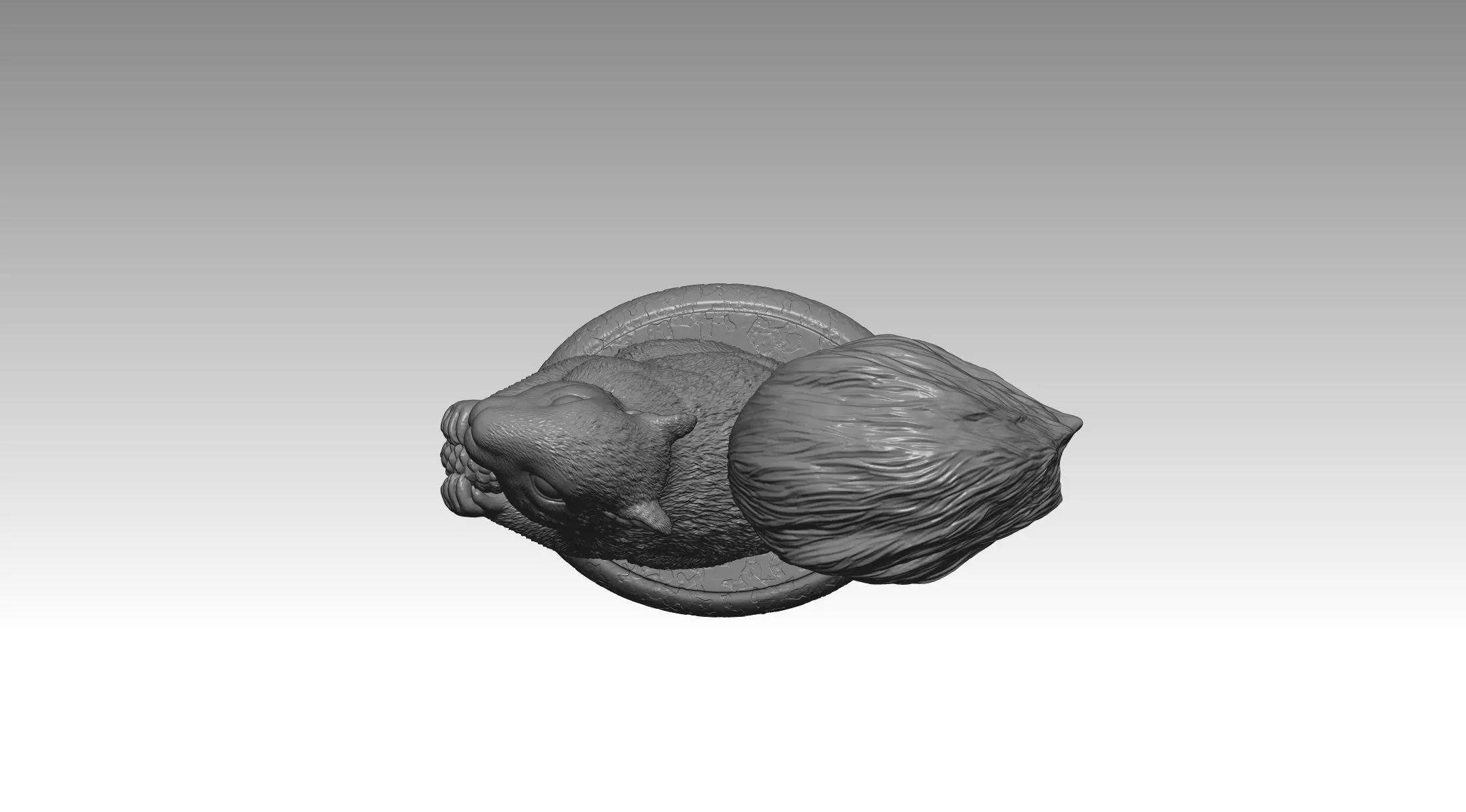 squirrel model 2 3D print model_4