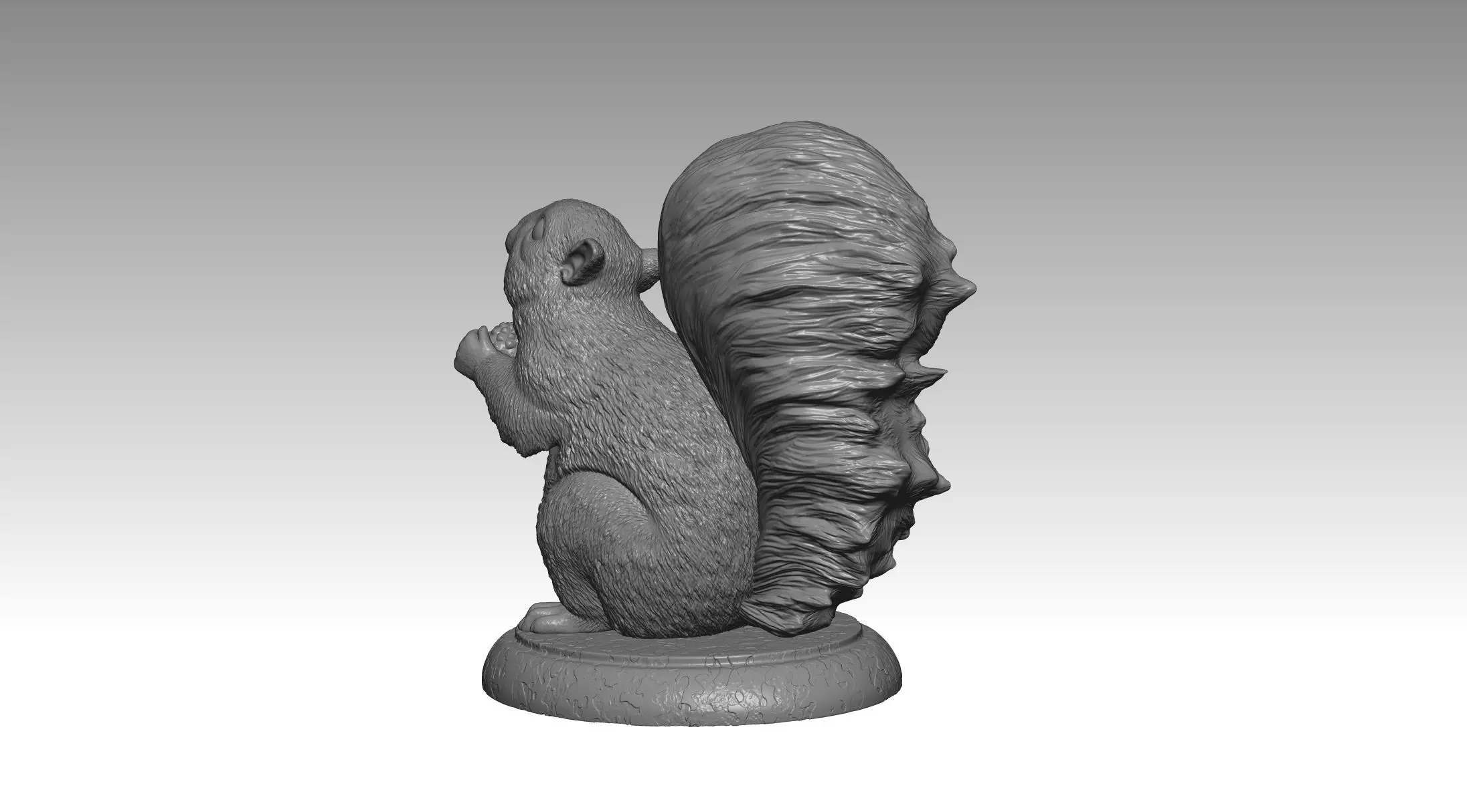squirrel model 2 3D print model_8