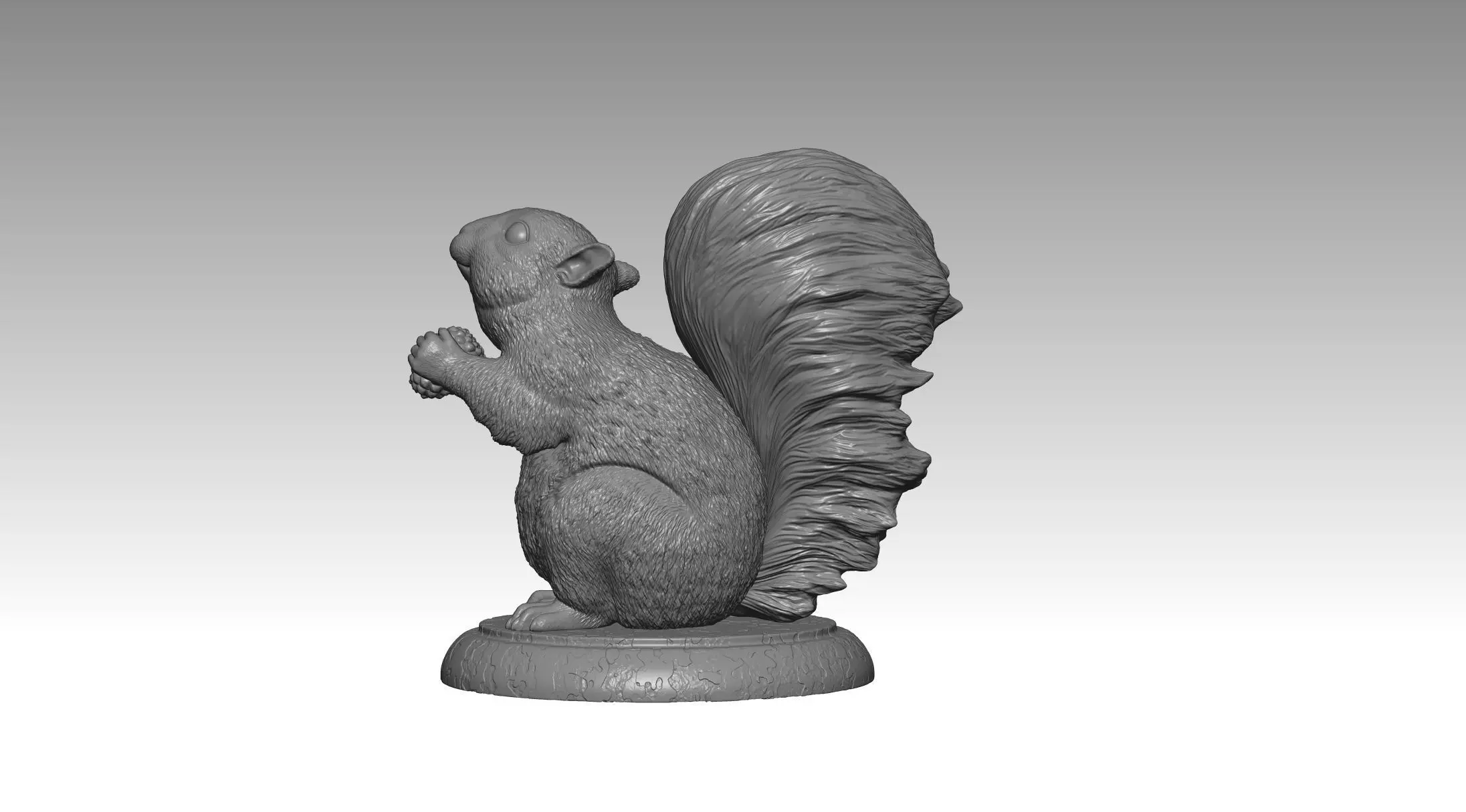 squirrel model 2 3D print model_2