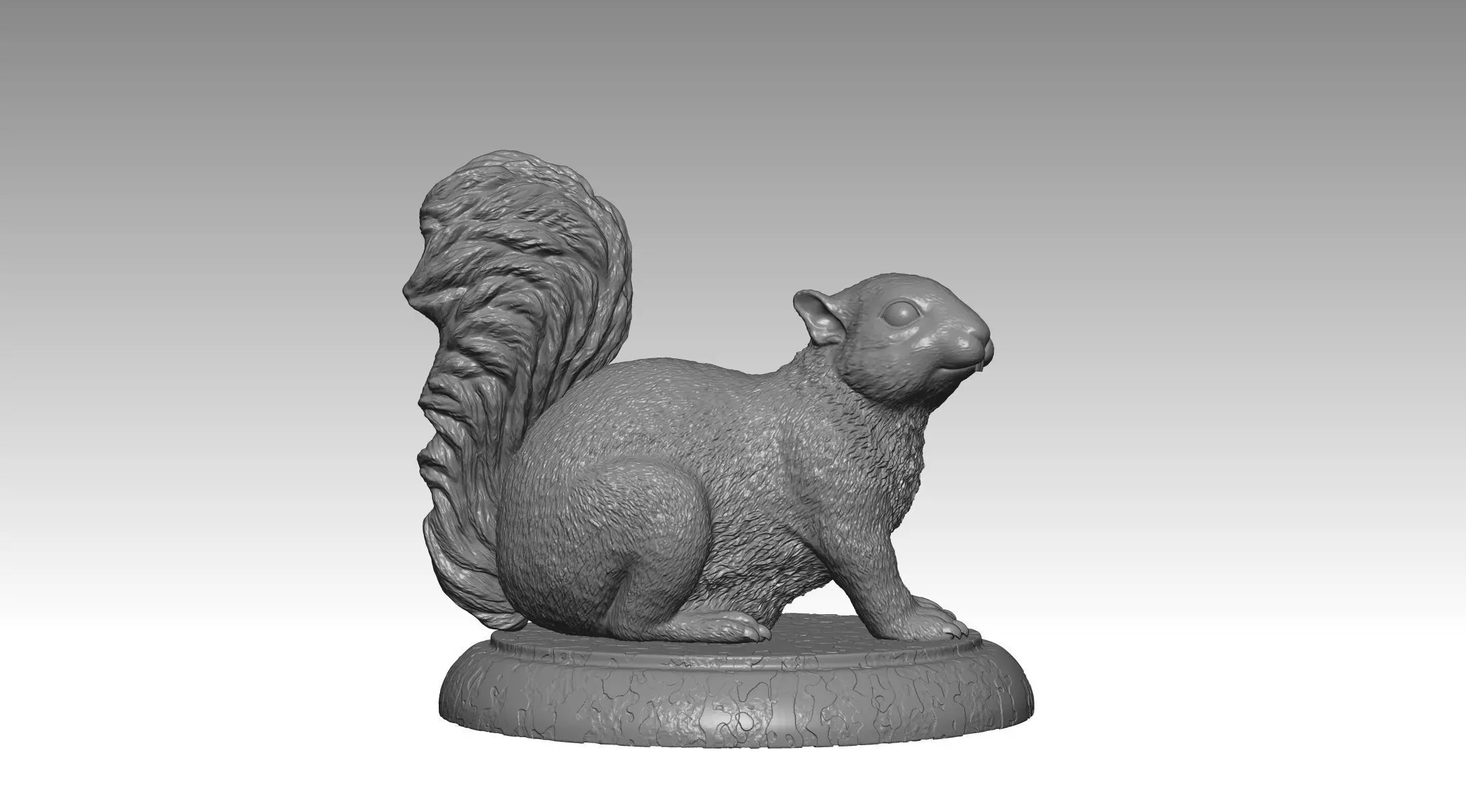 squirrel model 3 3D print model