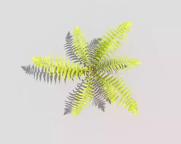 green fern Low-poly 3D model