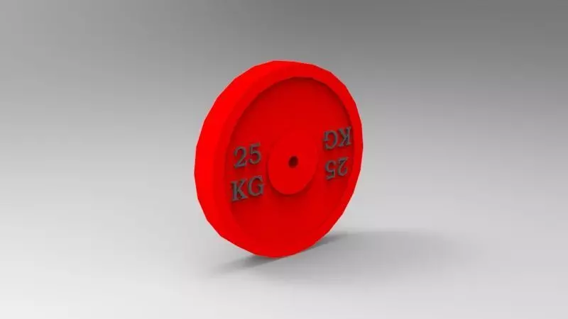 Bumper Plate 25 Kg 3D print model