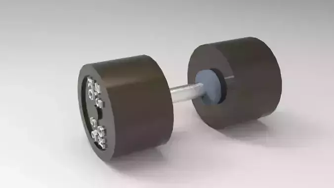 Adjustable Dumbbells  3D print model Adjustable Dumbbells  3D print model