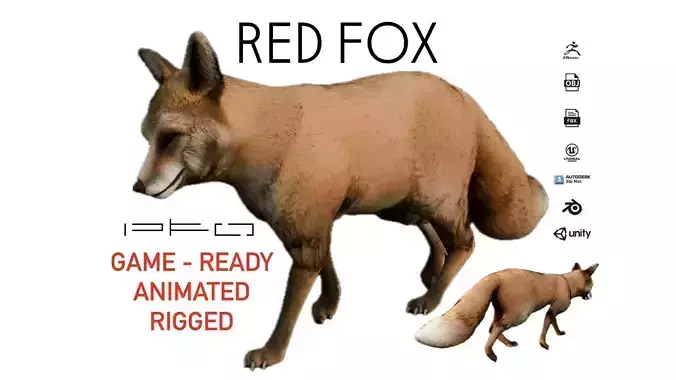 Realistic Red Fox