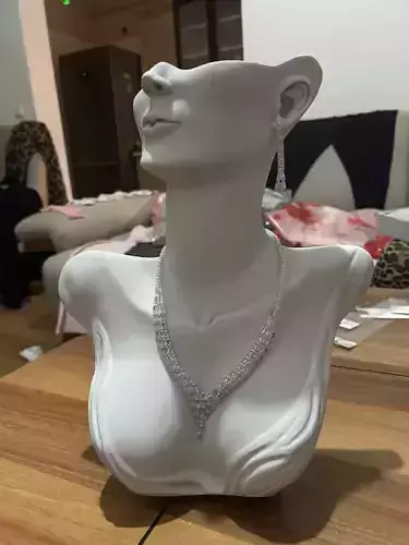 Modern Bust Jewelry Stand 3D Model for Necklace  Earring Display 3D print model