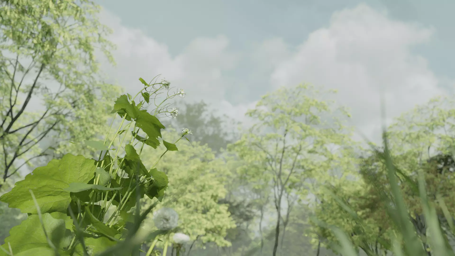 Most Realistic FOREST 3D model_4