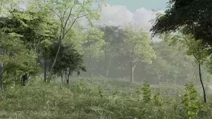 Most Realistic FOREST