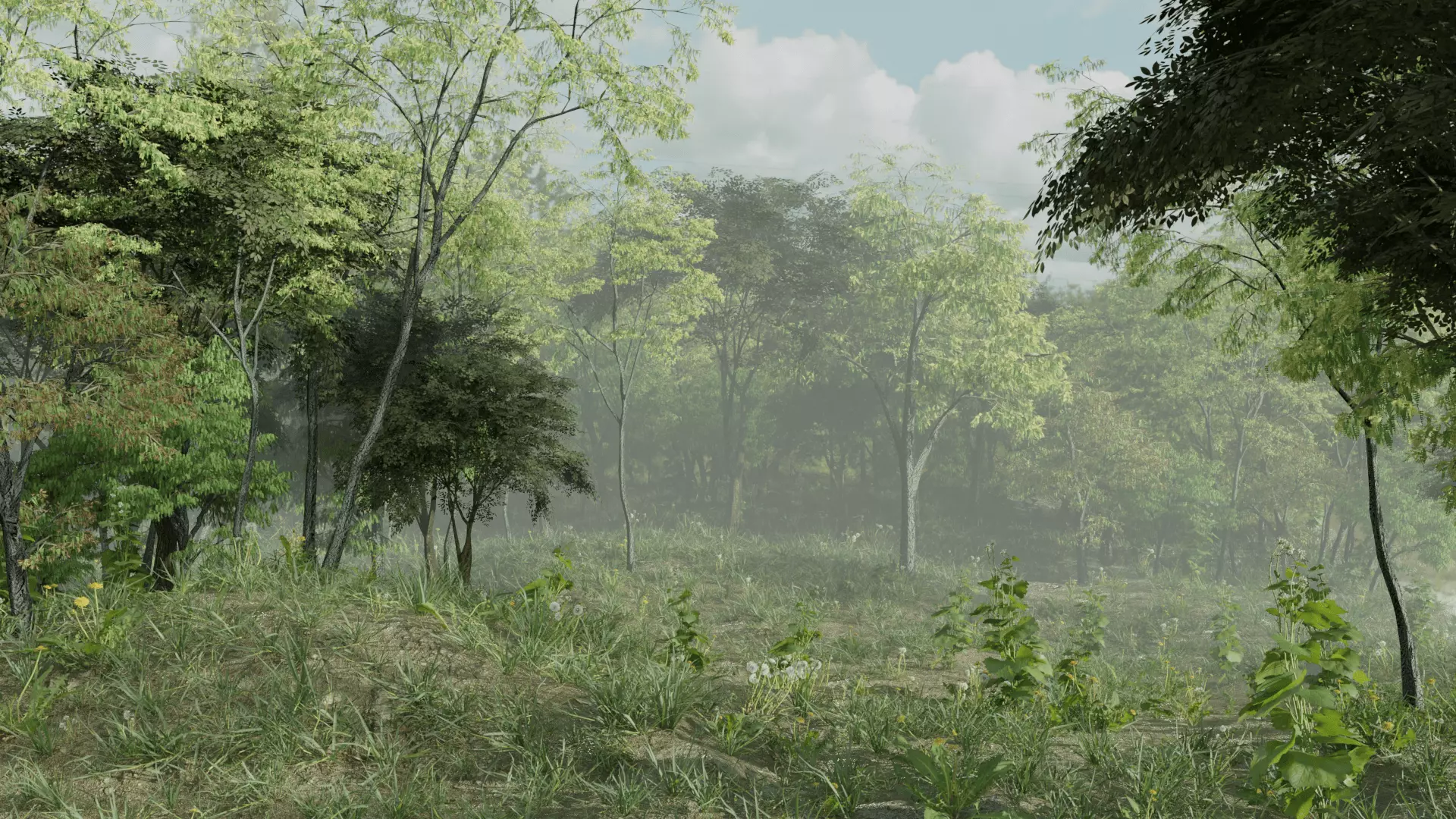 Most Realistic FOREST 3D model_0