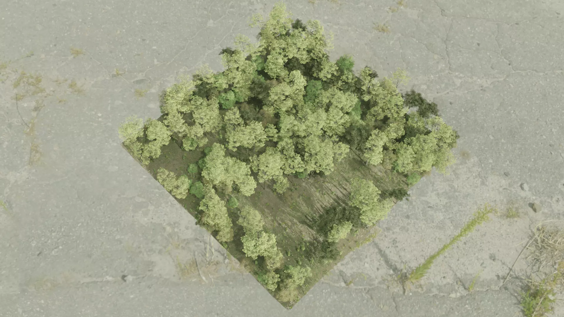 Most Realistic FOREST 3D model_7