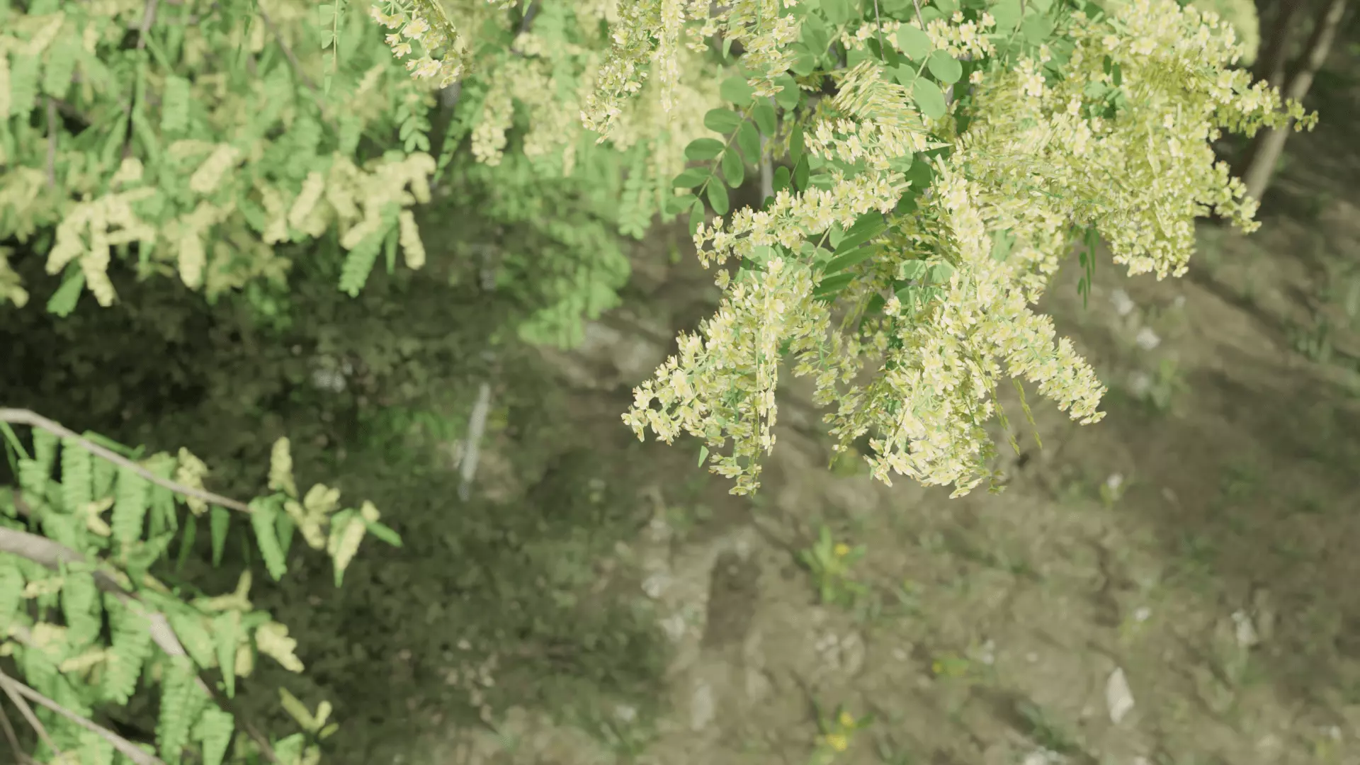 Most Realistic FOREST 3D model_2