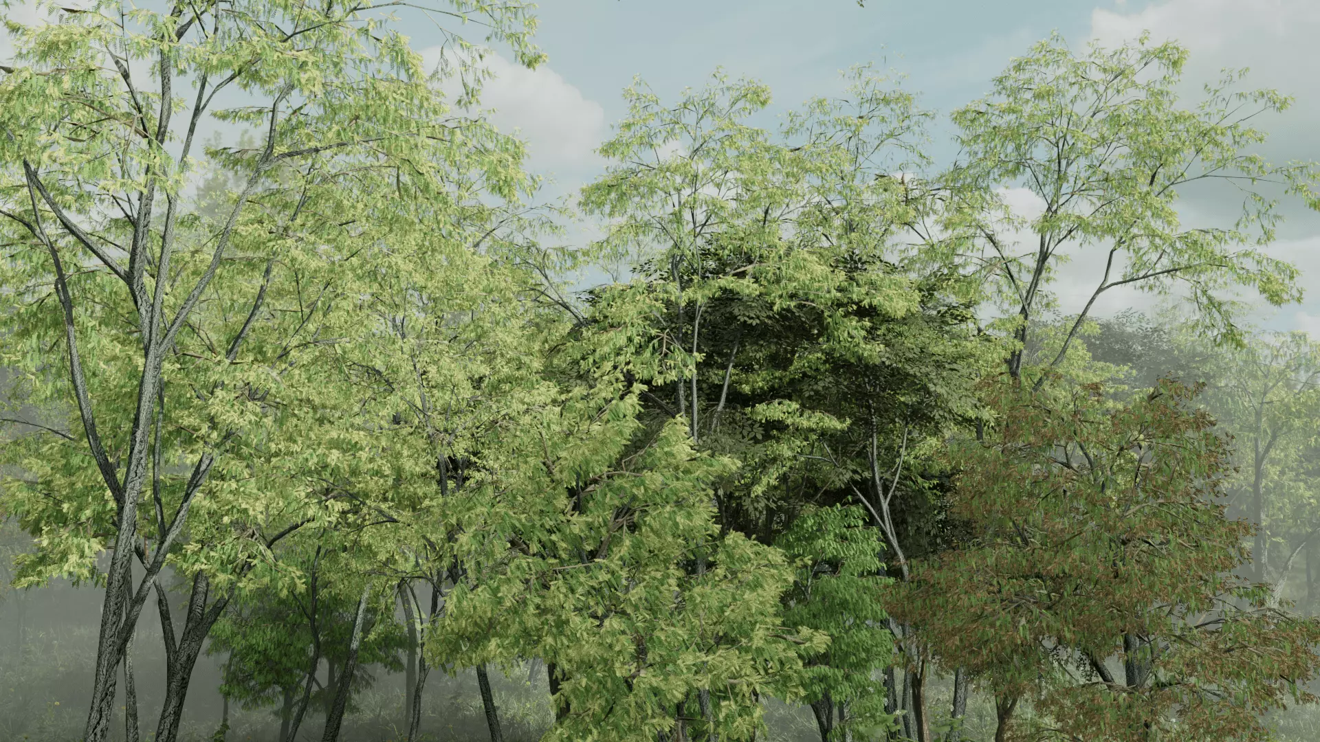 Most Realistic FOREST 3D model_6