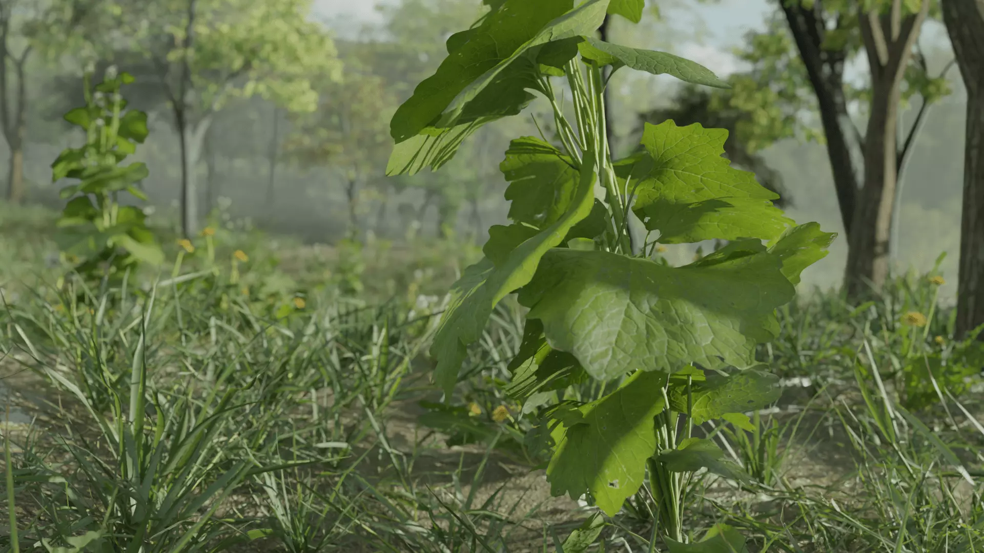 Most Realistic FOREST 3D model_3