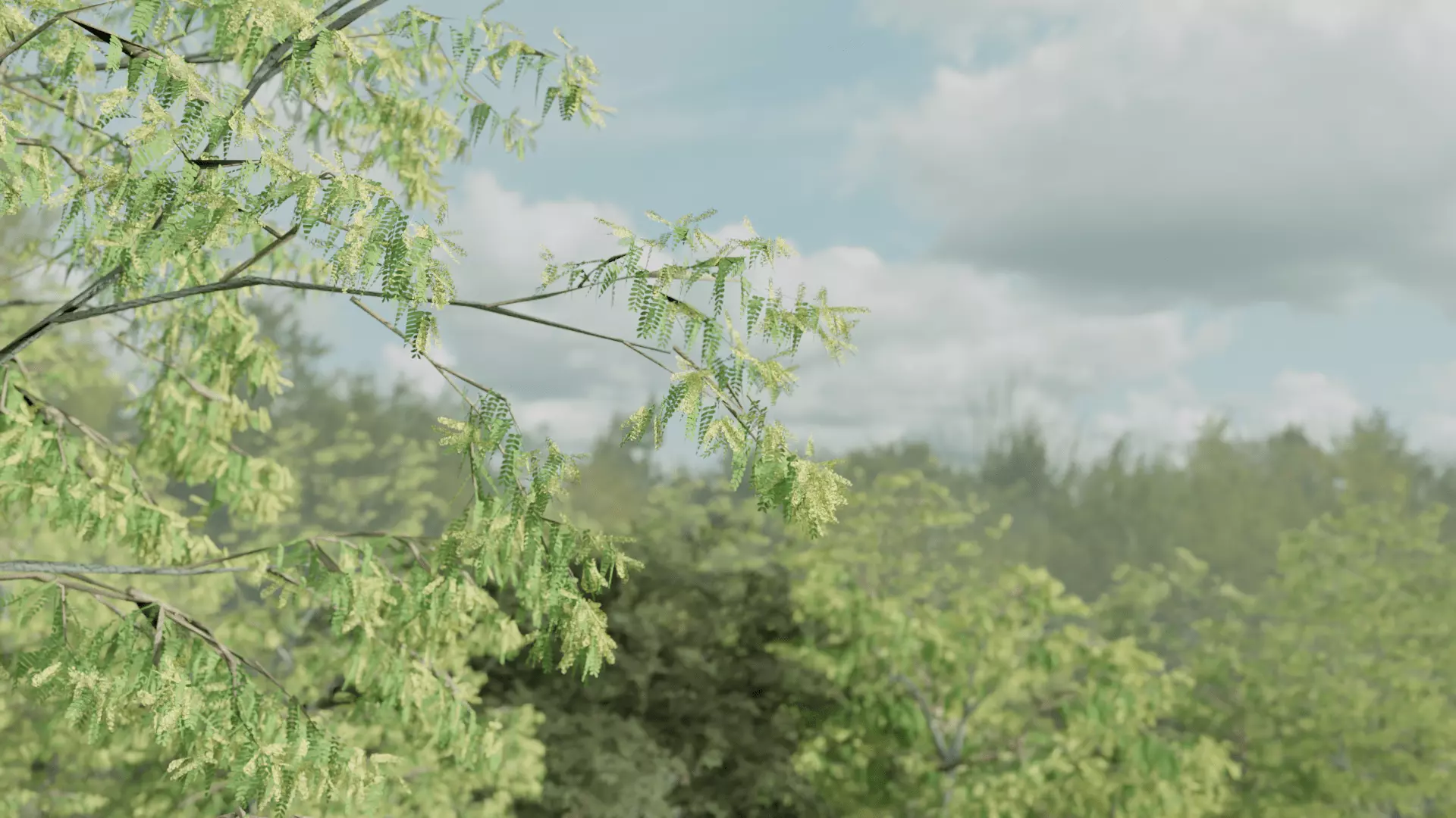 Most Realistic FOREST 3D model_1