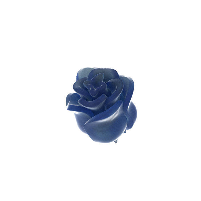 Half-folded rose flower 3D print model_1