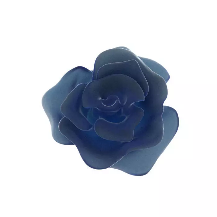 Blooming rose 3D print model_0
