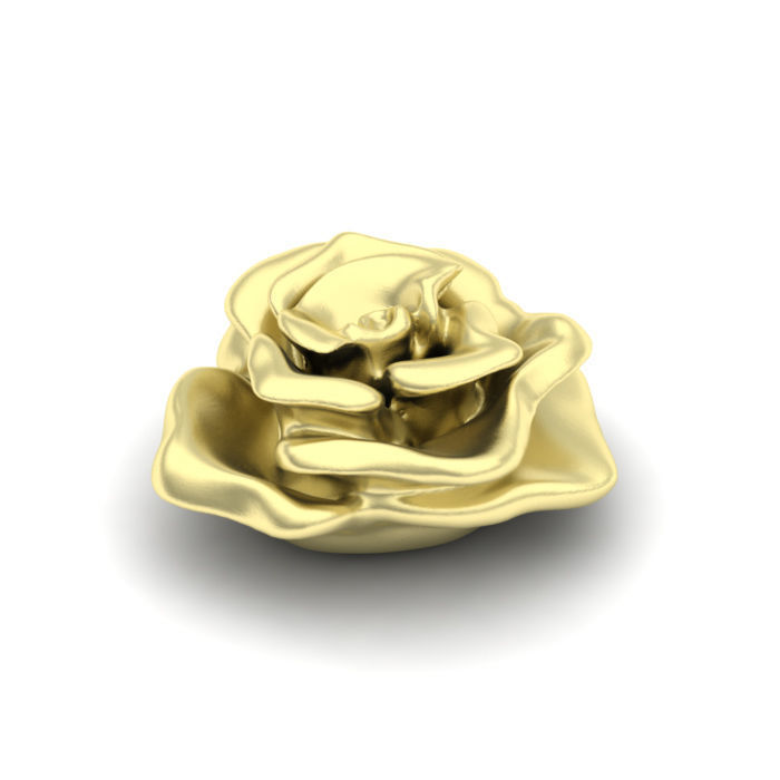 Blooming rose 3D print model_5