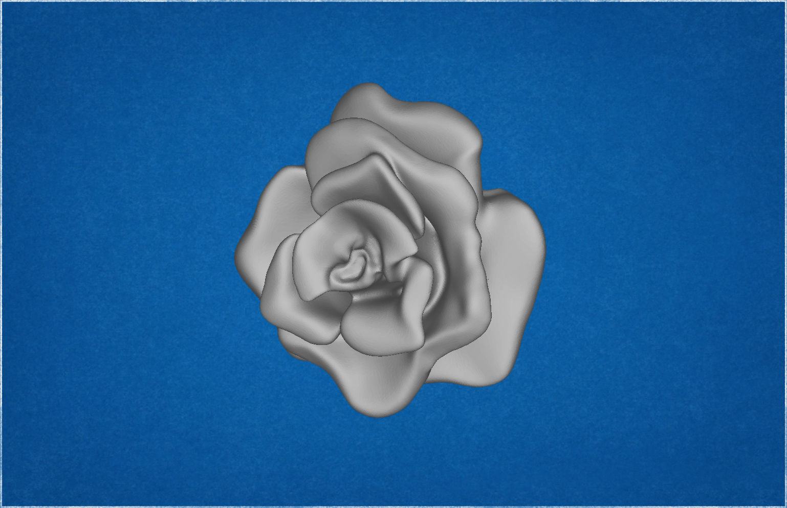 Blooming rose 3D print model_6