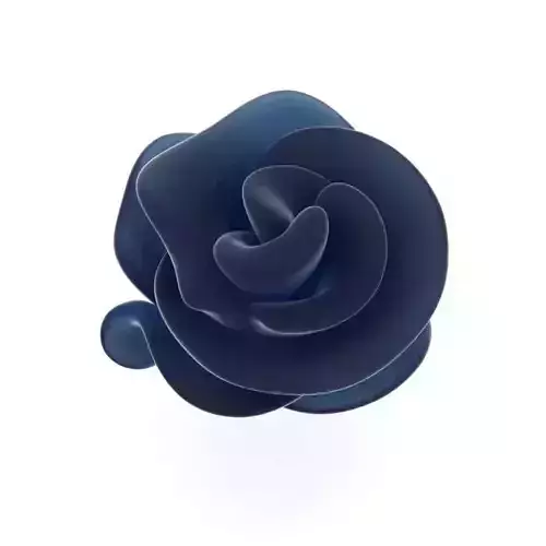 Rose flower