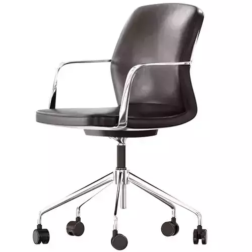 Nerlan desk chair