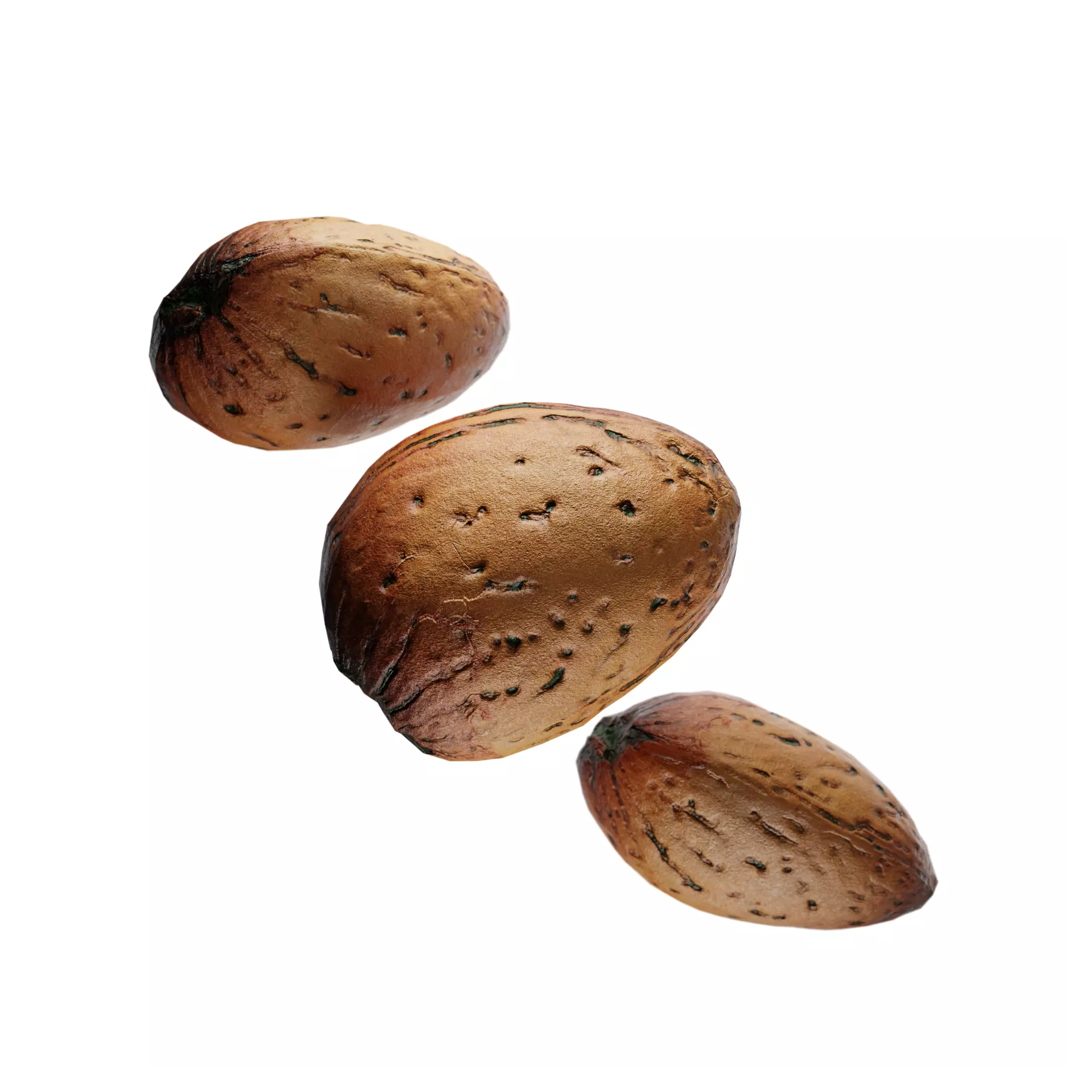 High-Quality Almond 3D Model Low-poly 3D model_2