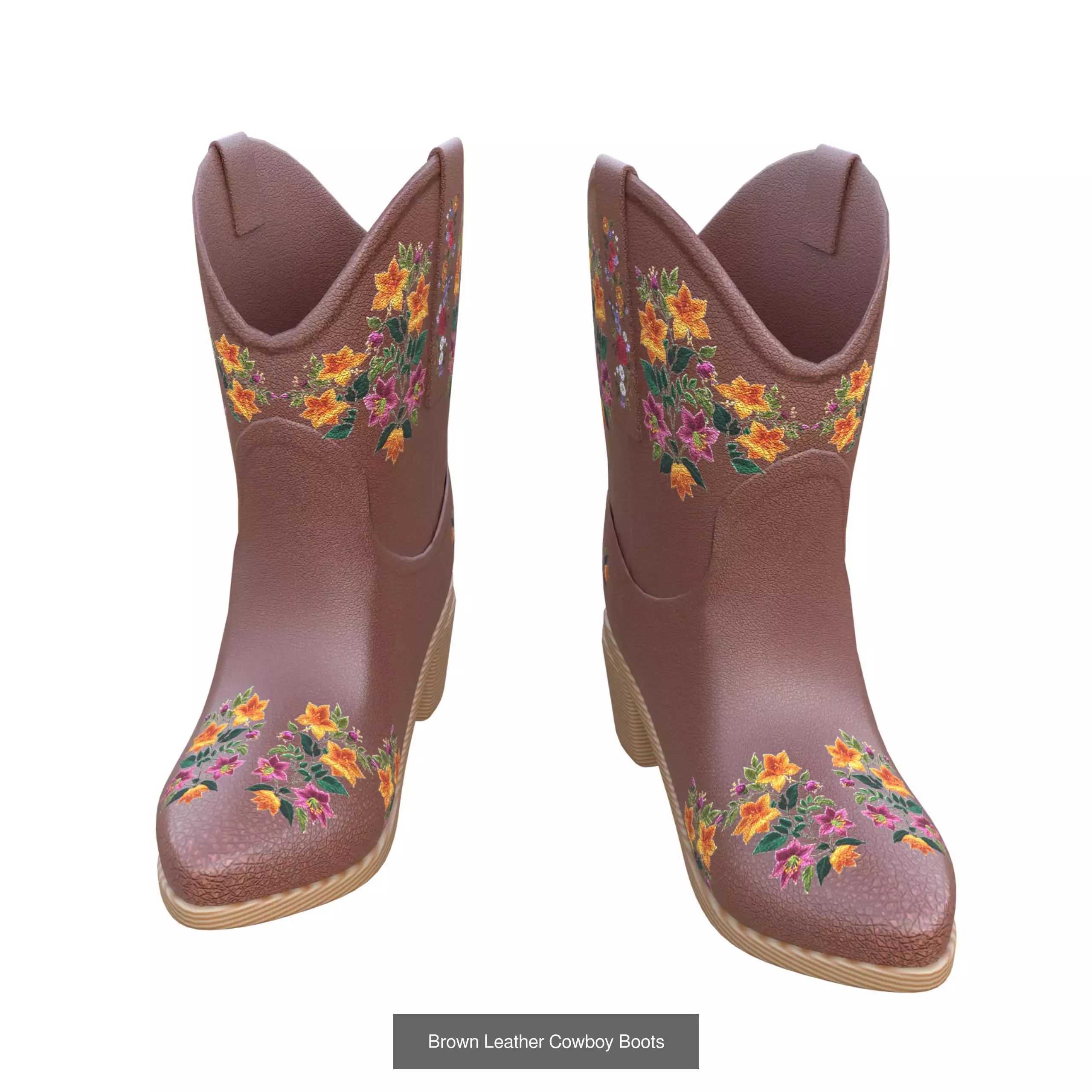Cowgirl Boots 3D Model Collection_5
