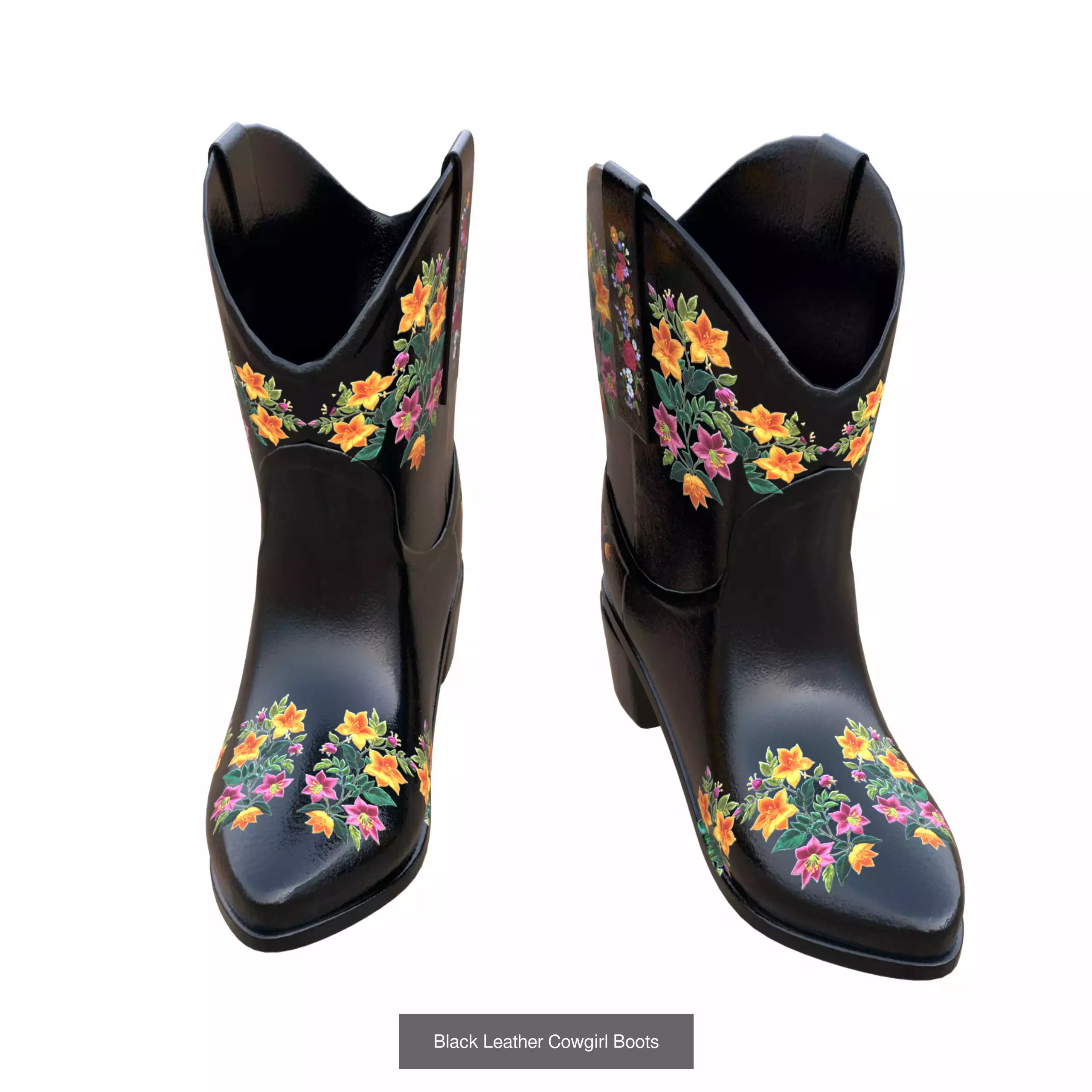 Cowgirl Boots 3D Model Collection_2