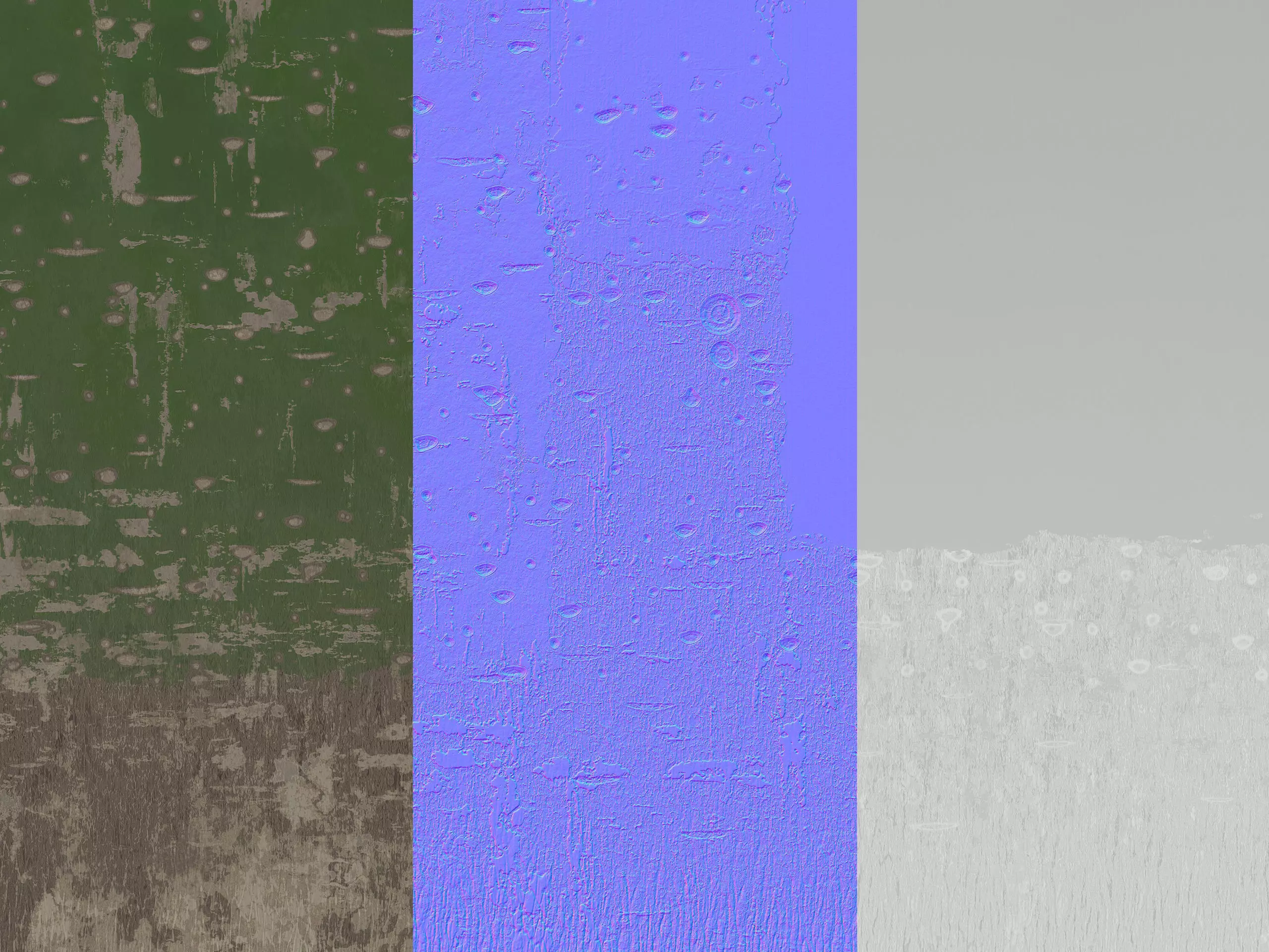 Plant Money Tree  L3 - Pachira Aquatica braid style 3D model 3D model_7