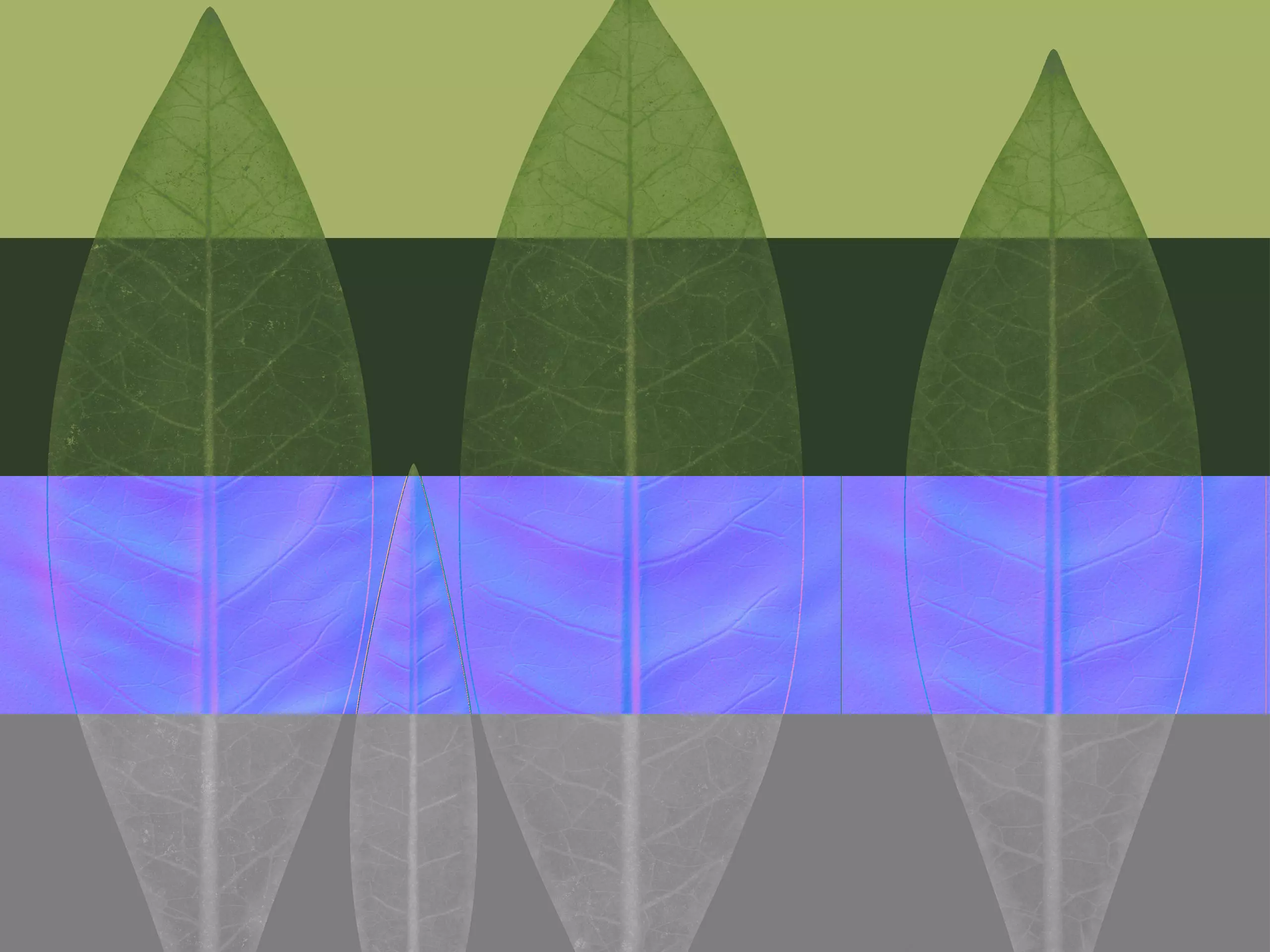 Plant Money Tree  L3 - Pachira Aquatica braid style 3D model 3D model_6