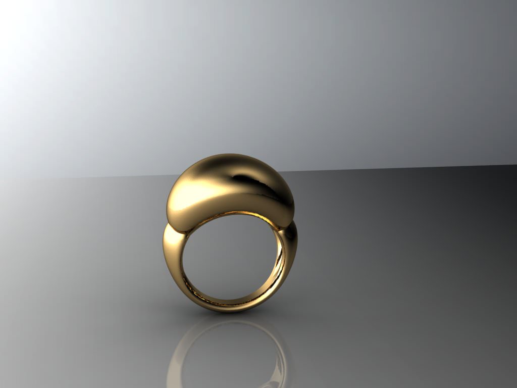 2 Part Ring 3D print model_1
