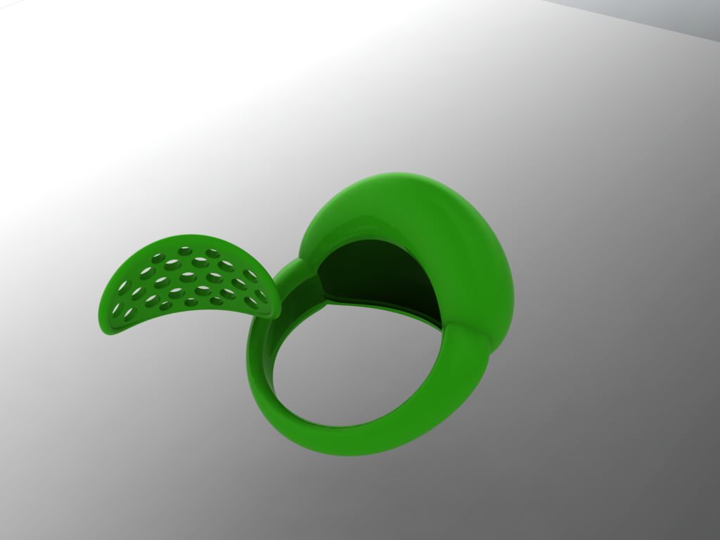 2 Part Ring 3D print model_2