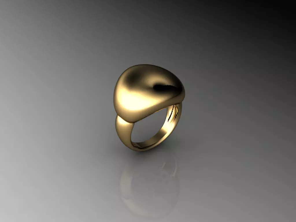 2 Part Ring 3D print model_0