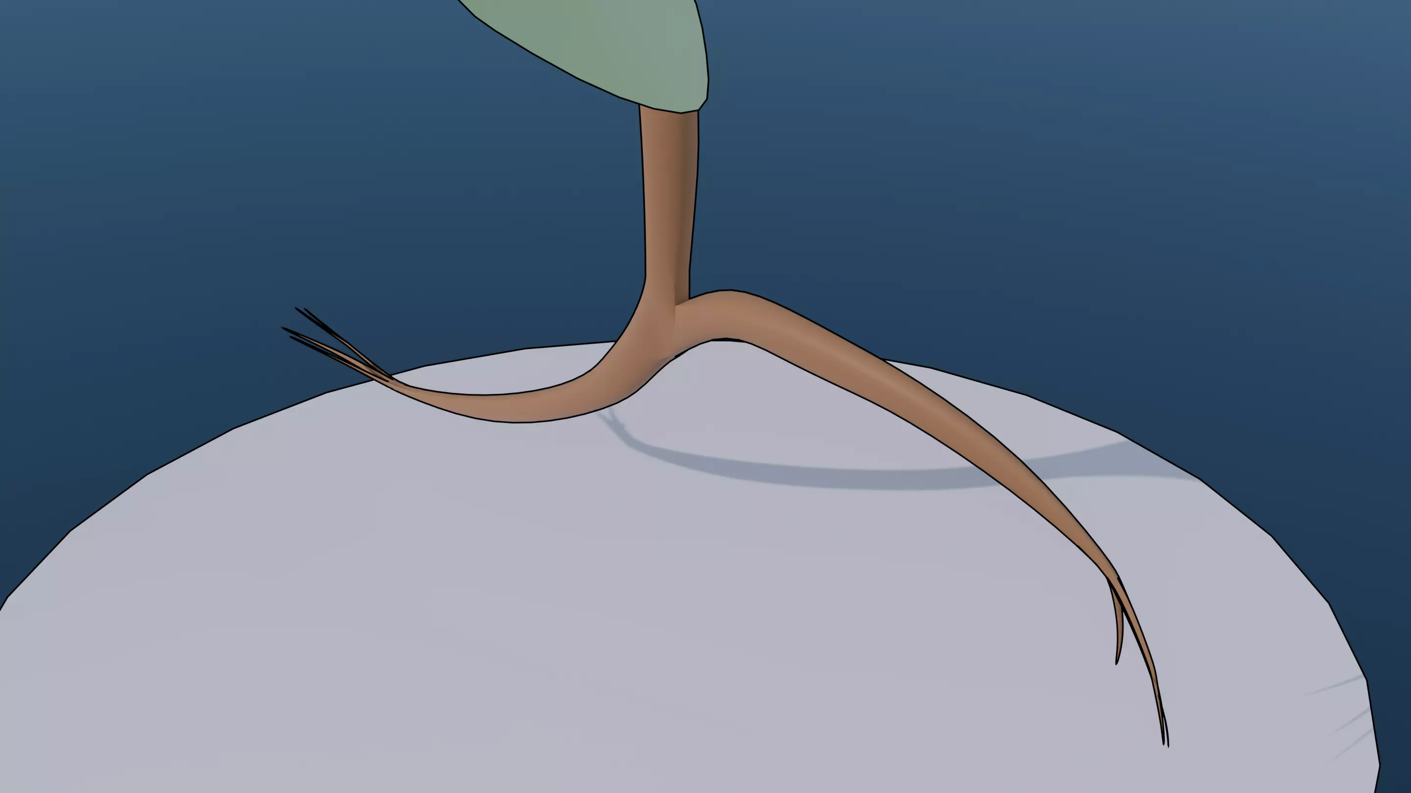 Pokemon Bellsprout and Shiny Version 3D model_10