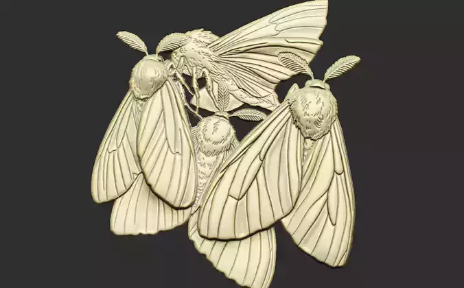 Moth design antenna creature cluster Winged lepidoptera