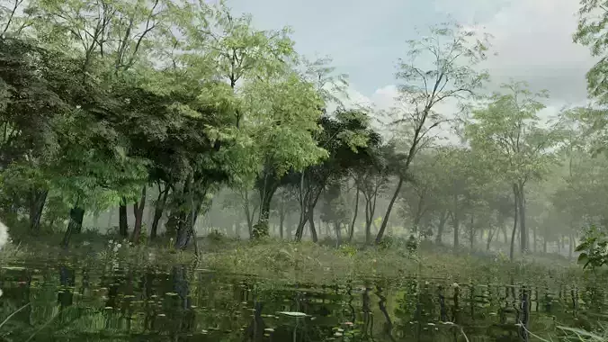 Realistic FOREST and POND